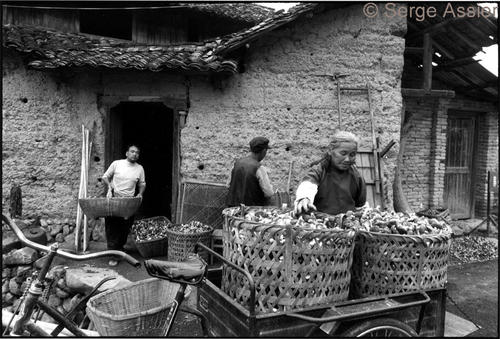 Instants de Chine — Chine07