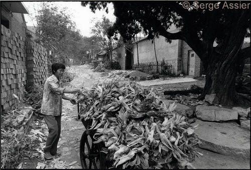 Instants de Chine — Chine44