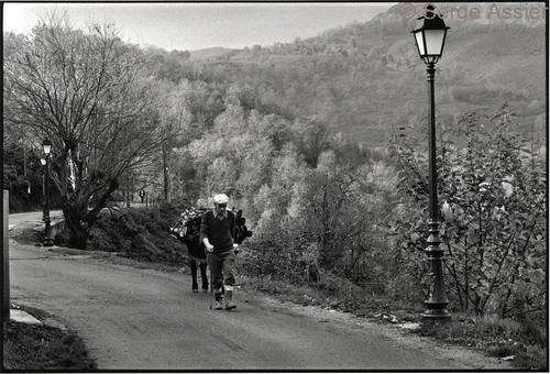 La Corse Buissonnière — Corse 015