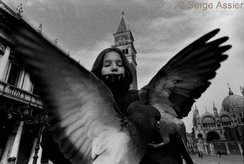 Les Coulisses de Venise — Venise ph31