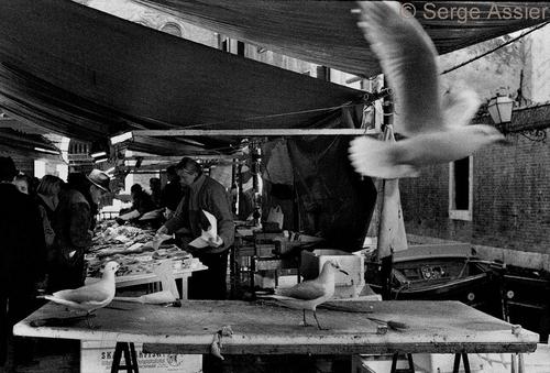 Les Coulisses de Venise — Venise ph40