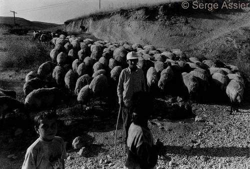 L'Ararat pour Mémoire — Ararat ph07