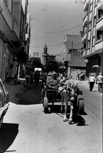 L'Ararat pour Mémoire — Ararat ph09