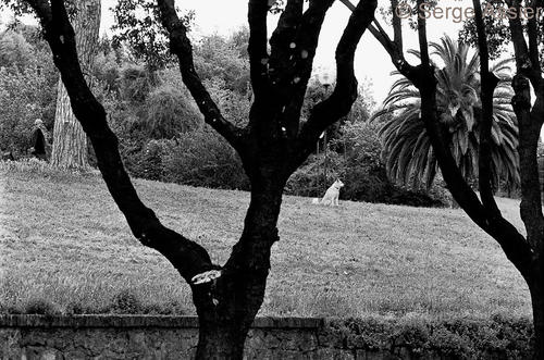 Cronaca di Roma — Roma13