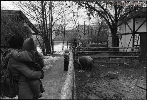 Berlin à visage humain — Berlin à visage humain. 31