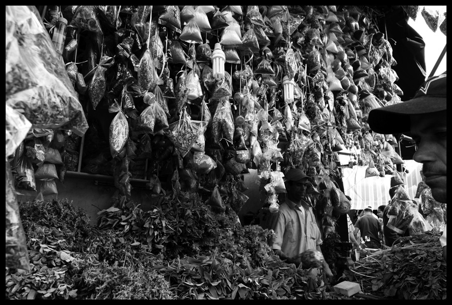 Rabat — photo10