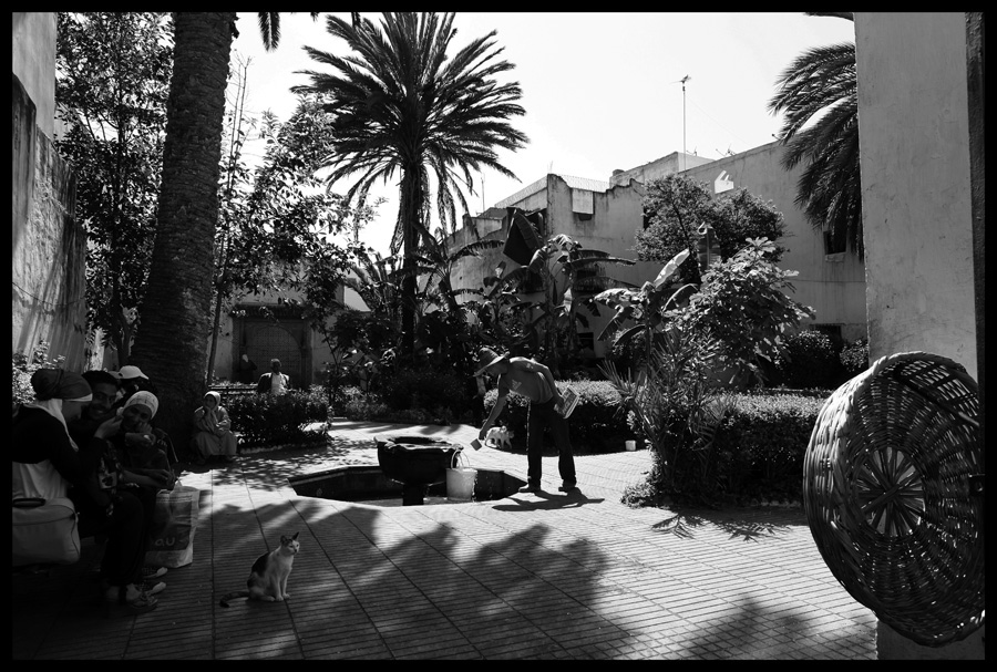 Rabat — photo43