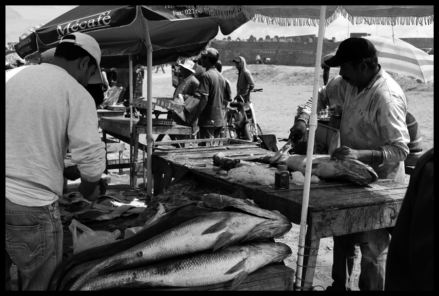 Rabat — photo61