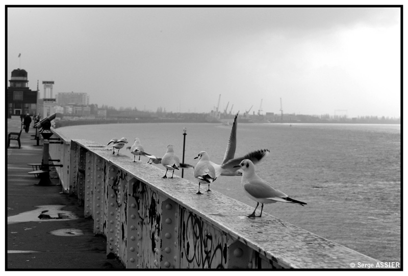 Anvers — 020.-Anvers
