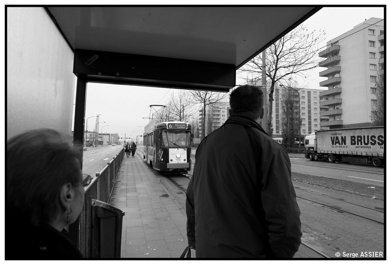 Anvers — 156.-Anvers