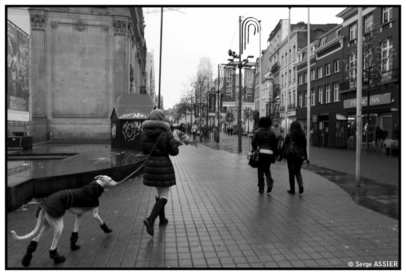Anvers — 158.-Anvers