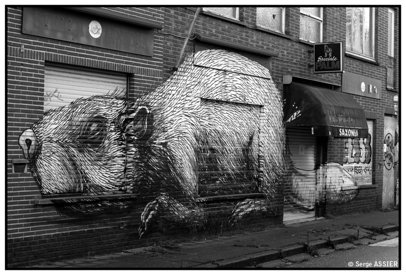 Anvers — 189.-Anvers-Doel