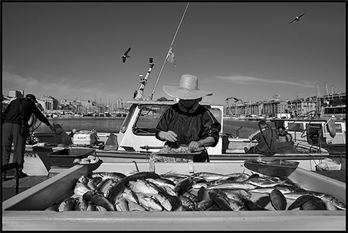 Quatre rives et un regard 2013 — 042.-Marseille-02-JPG