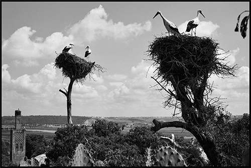 Quatre rives et un regard 2013 — 076.-Rabat-16-JPG